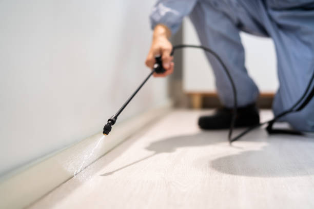 Licensed Fumigation Services service in Newport, KY - Nex Pest Control