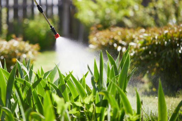24/7 Emergency Fumigation Services experts in Newport, KY
